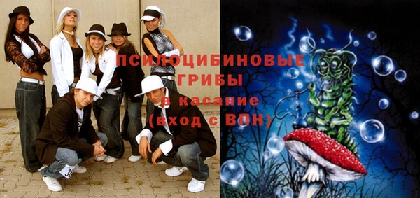 амф Абаза