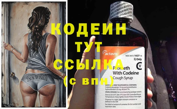 ECSTASY Пересвет