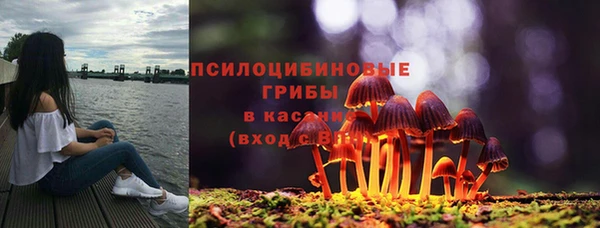 амф Абаза