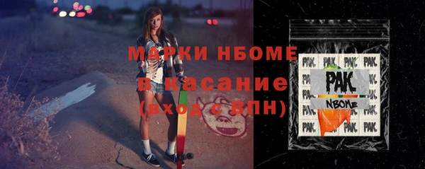 ECSTASY Пересвет