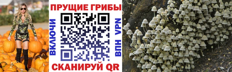 как найти закладки  Тетюши  Галлюциногенные грибы ЛСД 